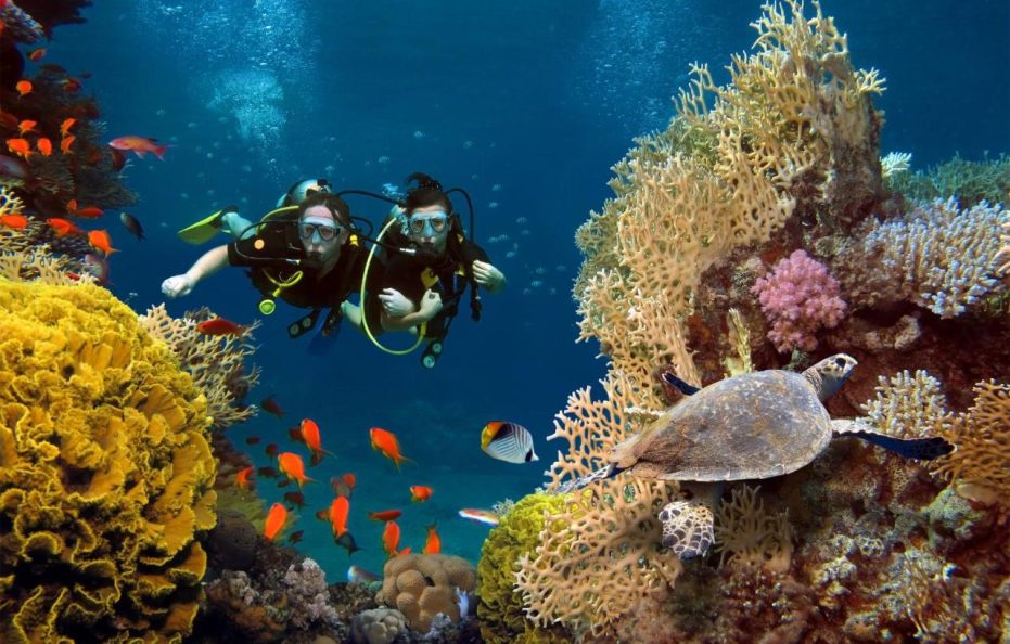 Avani Plus Fares Maldives Resort