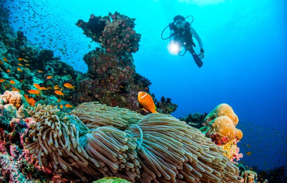 Dusit Thani Maldives – Mudhdhoo Island, Baa Atoll