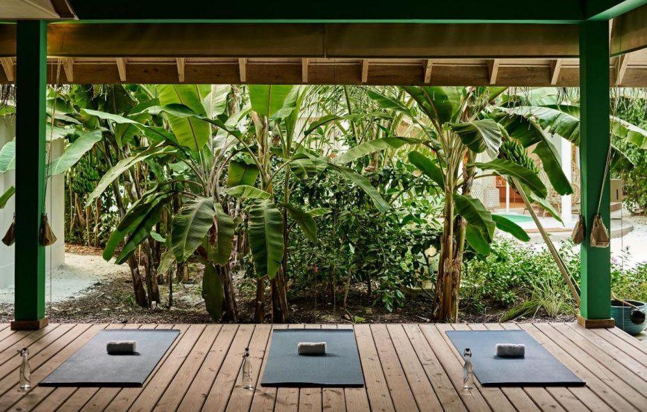 Finolhu, A Seaside Collection Resort, a Member of Design Hotels