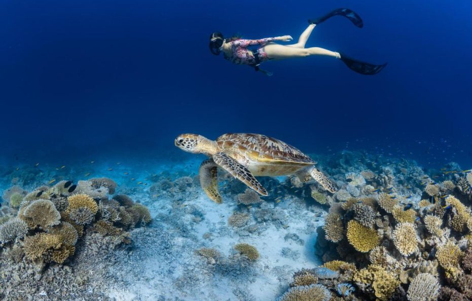Park Hyatt Maldives Hadahaa
