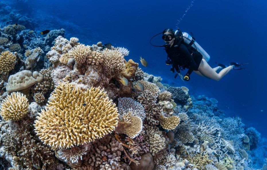 Park Hyatt Maldives Hadahaa