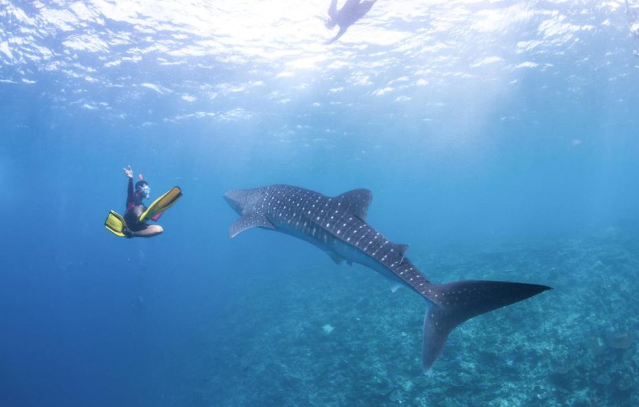 Radisson Blu Resort Maldives with 50 percent off on Sea Plane round trip 03 nights & above