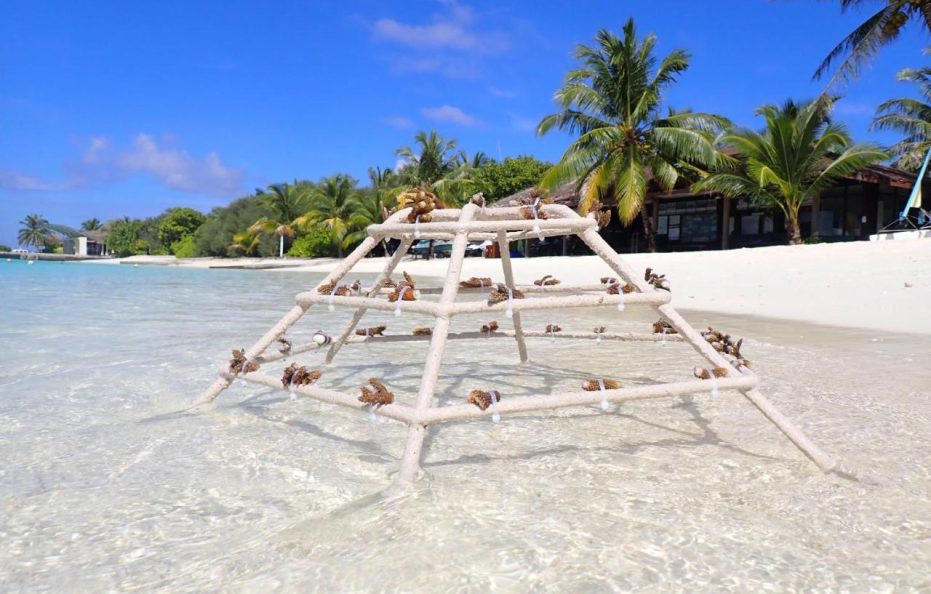 Sheraton Maldives Full Moon Resort & Spa