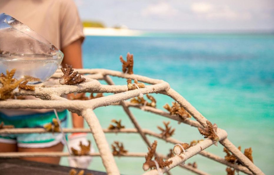 Sheraton Maldives Full Moon Resort & Spa