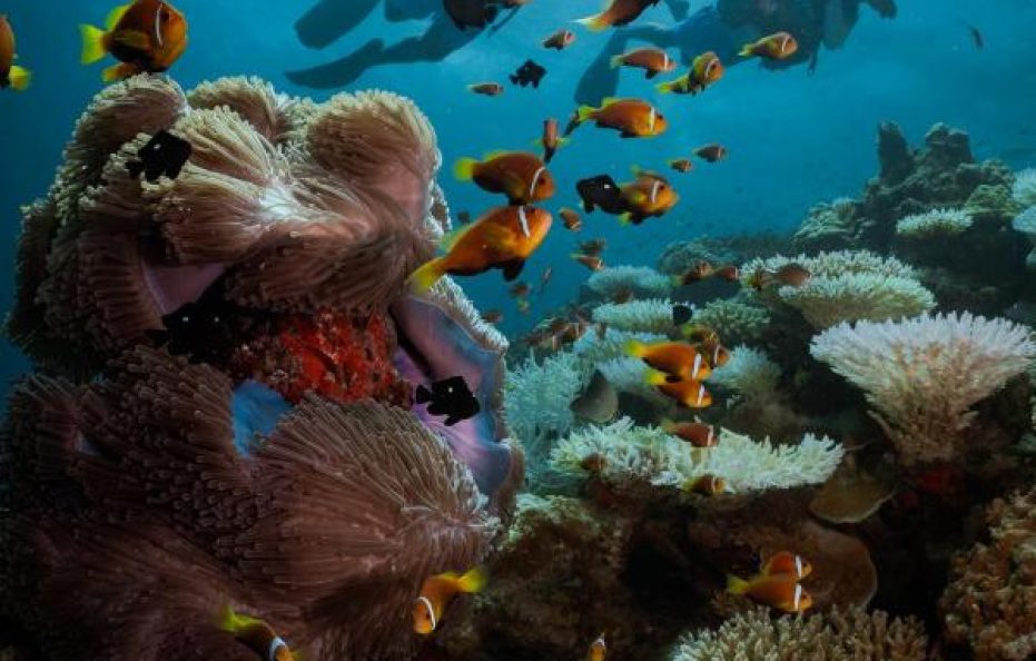 Six Senses Laamu