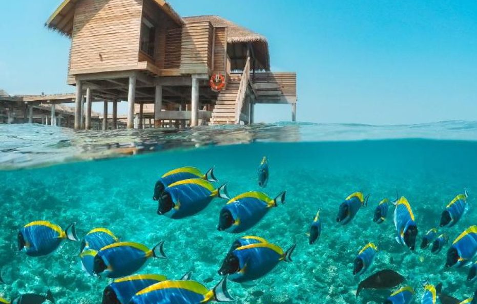 Vakkaru Maldives – Luxury Private Island Resort
