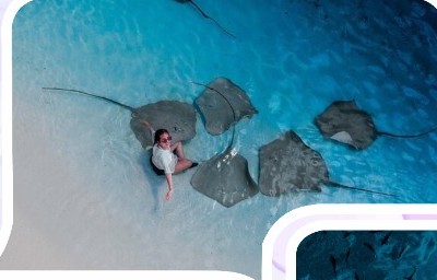 Aerial Drone Photos & Video